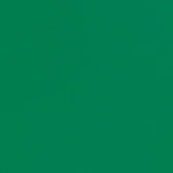 Cricut Vinyle^Smart Vinyl™ Joy™ -Permanent Matte, Herbe