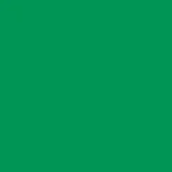 Cricut Vinyle^Smart Vinyl™ Permanent, Herbe (3.7 m)
