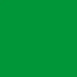 Cricut Thermocollant (htv)^Thermocollant économique (1,5 m /  5 pi), Vert
