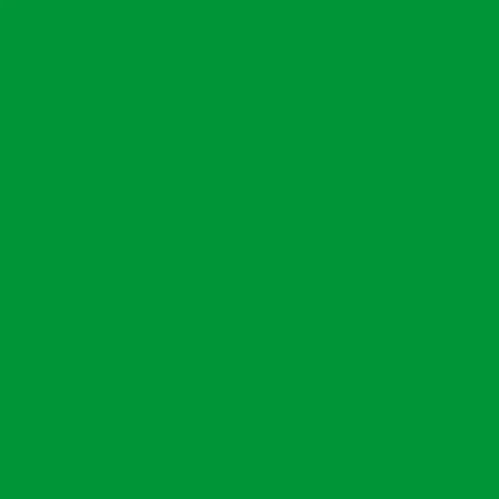 Cricut Thermocollant (htv)^Thermocollant économique (1,5 m / 5 pi), Vert